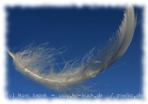 Long Feathers